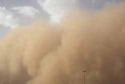 "Godzilla", czyli potężna chmura pyłu znad Sahary zmierza do USA