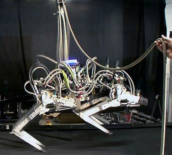 Oto najszybciej biegający robot na świecie