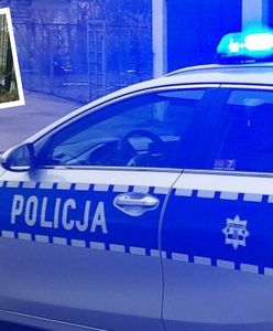 Przestał karmić psa. Powód przeraża