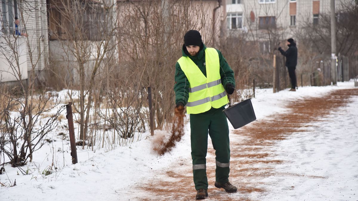 Sypanie chodników fusami z kawy. Lwów.