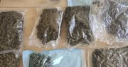 Bolesławiec: Marihuanę czuć było już na klatce schodowej. 33-latek miał w mieszkaniu blisko 3 kg narkotyków