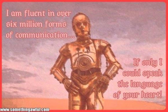 384786319565734619
