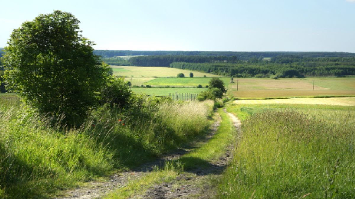 Najmniejsza wieś w Polsce