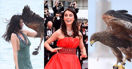 Rumuńska top-modelka WALCZY Z DRAPIEŻNYM PTAKIEM na plażach Cannes!