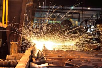 Alchemia będzie skupować akcje własne. Nie wypłaci dywidendy