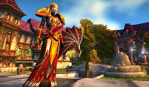 World of Warcraft. Rzadki przedmiot sprzedany za prawie 15 tys. zł