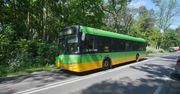 Poznań: kolejne zmiany w komunikacji miejskiej 20 i 21 czerwca