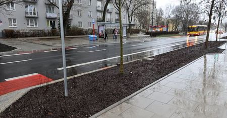 Warszawa. Saska eksploduje wiosenną zielenią. Tak chcieli warszawiacy