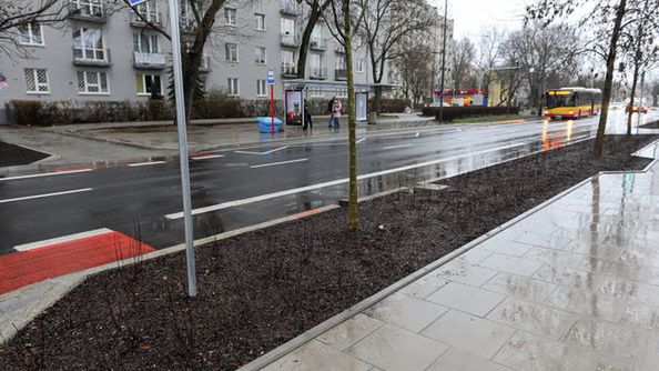 Warszawa. Ulica Saska zachwyci nas na wiosnę bujną zielenią. Posadzono tu 8 tysięcy rośln - krewów, bylin i drzew. Te ostatnie mogą urosnąć z czasem do wysokości ośmiu metrów