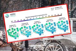 Prognoza pogody na zimę i wiosnę 2026. Czego się spodziewać?