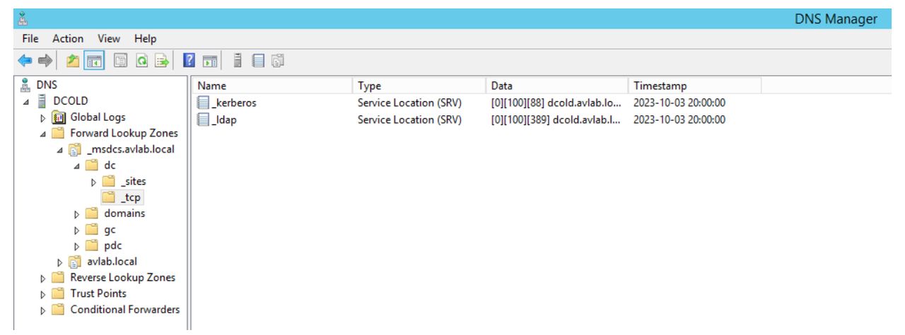 DNS Manager.