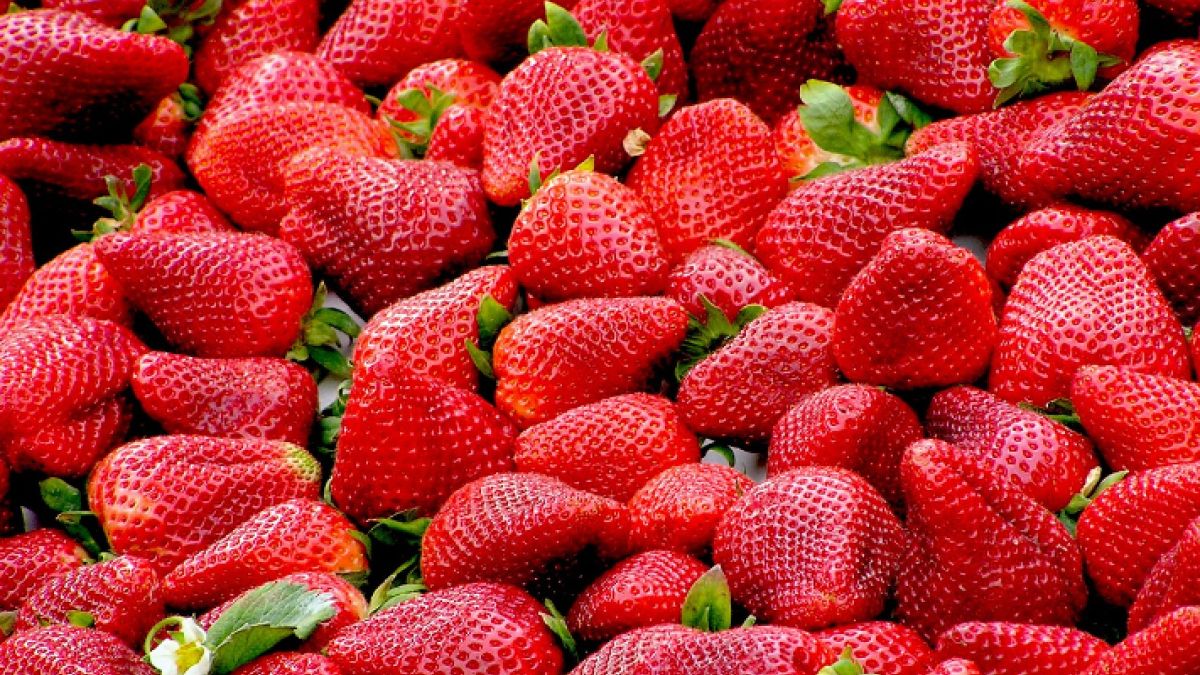 Polskie truskawki pojawiły się już w sprzedaży