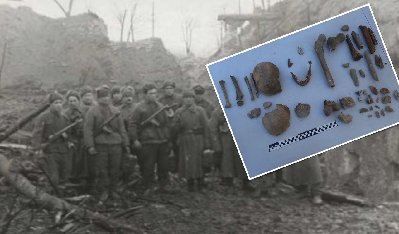 Tajemnicze kości przy UAM: relikt walk o Fort Winiary?