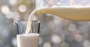 Krzyżówka dla miłośników mleka? Znasz napoje mleczne?