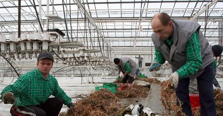 Obcokrajowcy ratują ZUS. 403 tys. Ukraińców pracuje na polską emeryturę