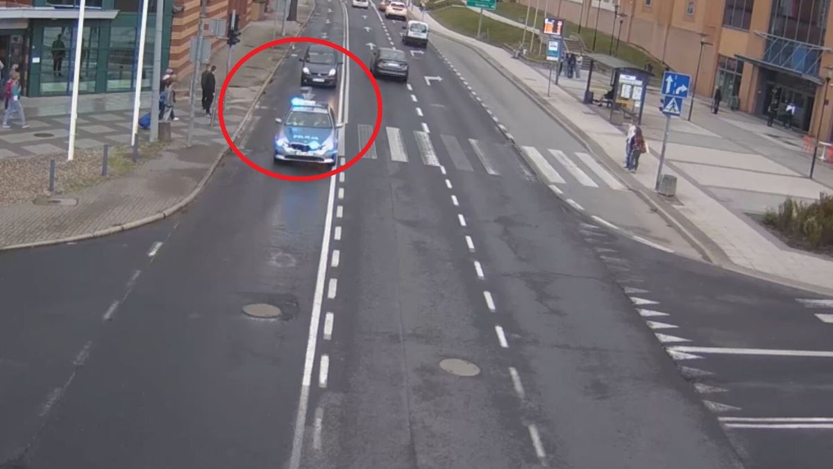 Dziecko ugryzł szerszeń. Policja pokazała nagranie z akcji ratunkowej