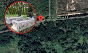 Najstarsze nagrobki mennonitów ocalone. Unikatowa nekropolia w Polsce