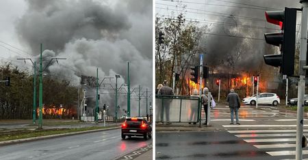 Ogromny pożar w Poznaniu. Kłęby dymu w całej okolicy