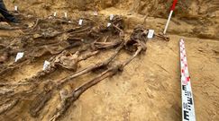 Odkryto masowy grób z okresu II wojny światowej. Wśród ofiar kobiety i dzieci