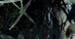 "Blair Witch": wiedźma z Blair na Snapchacie