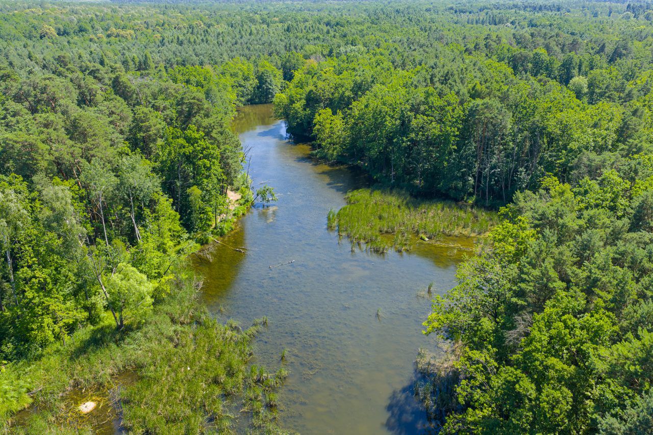 Lublin: "Uroczyska – Naturalnie, w mieście!". Powstał przewodnik po najbardziej dzikich zakątkach miasta