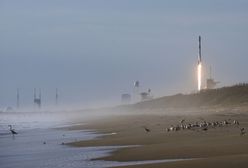 Starlink nad Polską. Kosmiczne show Elona Muska znów na niebie. Najpierw start rakiety Falcon 9