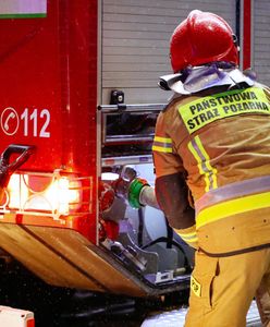 Zbijewo-Kolonia. Tragiczny pożar domu. Nie żyje jedna osoba