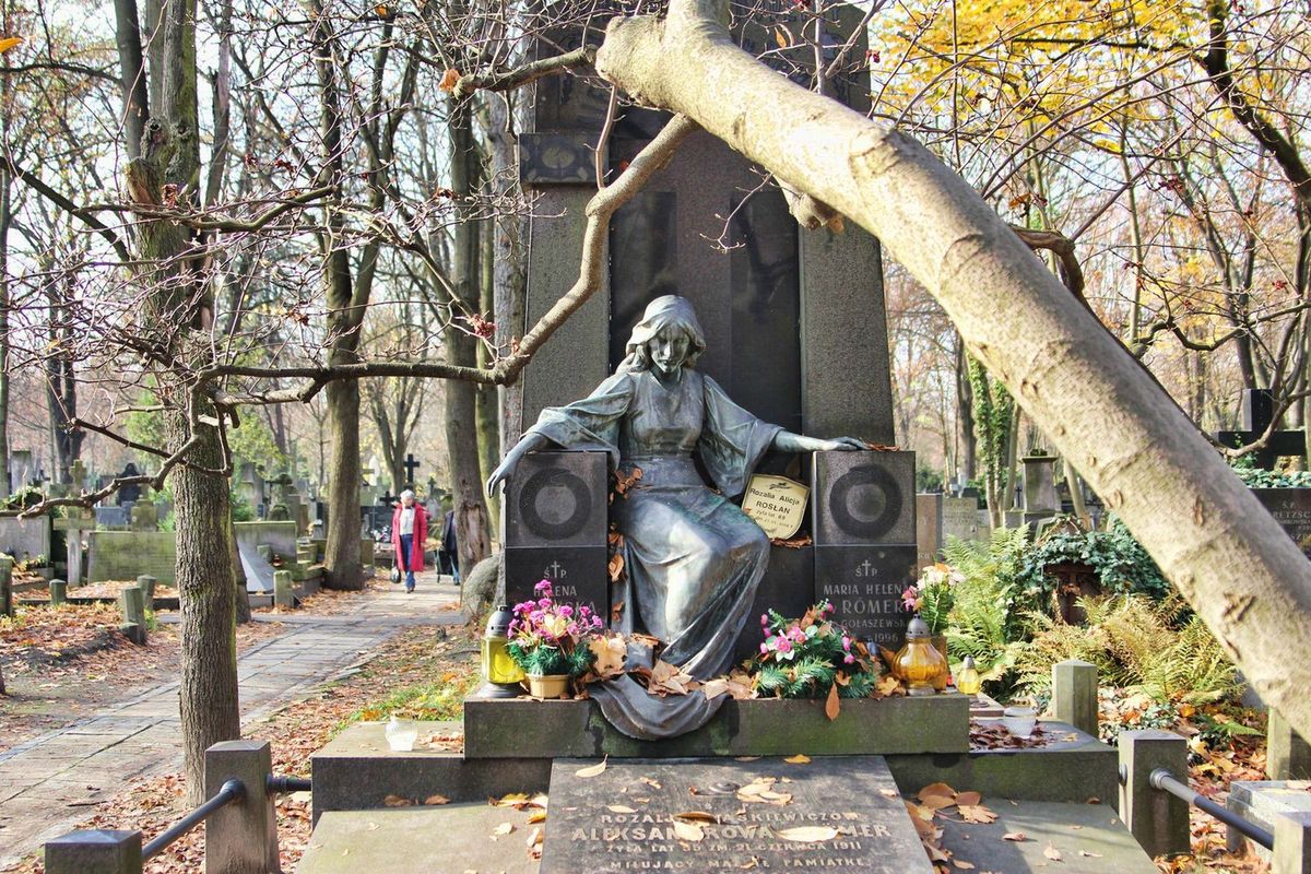 Są pieniądze na renowacje powązkowskich grobów. "Prace ruszą jeszcze w 2015 roku"