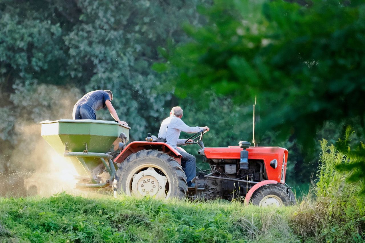 Biedny jak rolnik na emeryturze? KRUS podała nowe dane