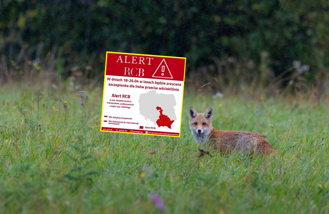 Nowy alert RCB. "Nie dotykaj kapsułki"