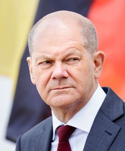 Stanowisko wobec eksportu broni do Ukrainy zaszkodzi reputacji Niemiec. "Berliński bełkot jest coraz mniej zrozumiały"