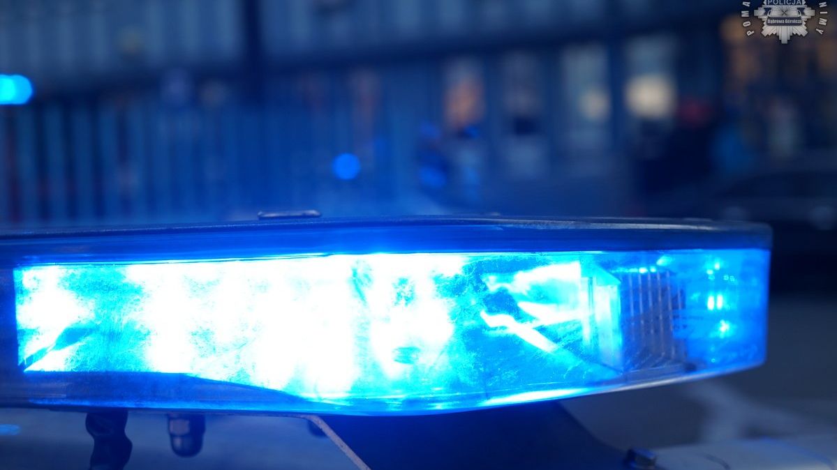 policja