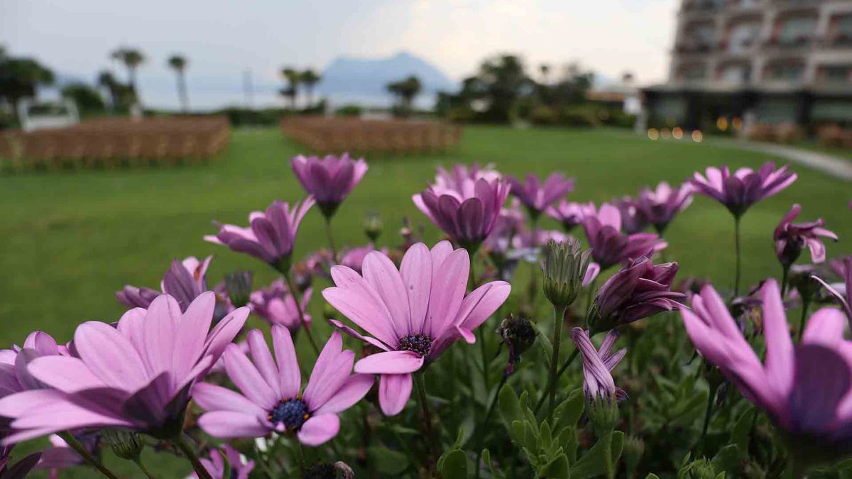 Canon EOS M6 - zdjęcia przykładowe z młodszego brata EOS-a M5 1