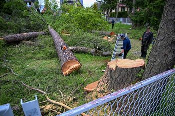 W Zakopanem trwa nielegalna wycinka drzew. Deweloperzy lekceważą prawo, a służby są bezradne