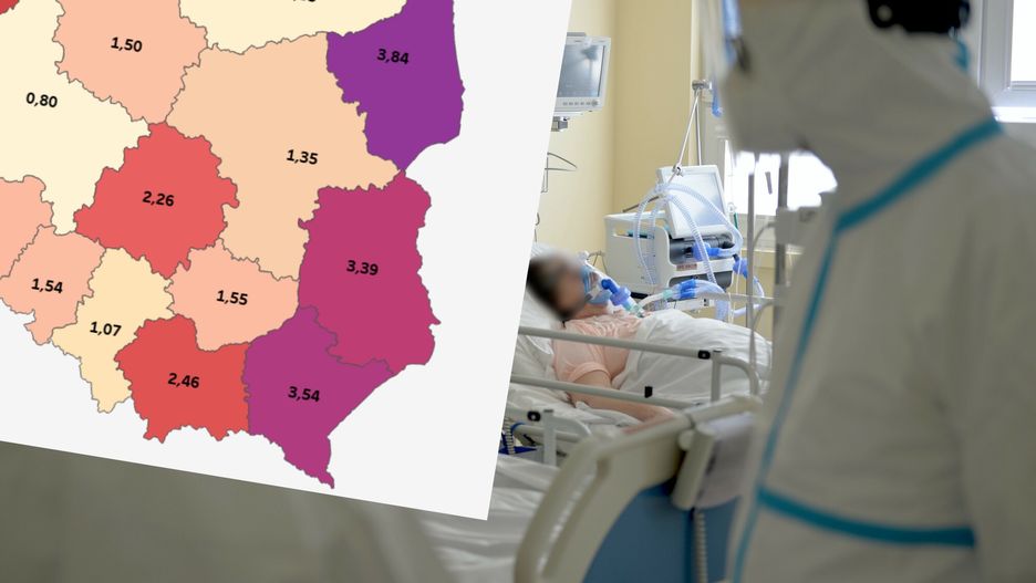 Zapowiedź czwartej fali epidemii. W regionach z najmniejszym wskaźnikiem szczepień jest najwięcej hospitalizacji z powodu COVID-19