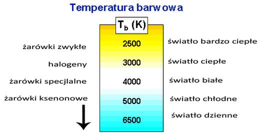 Zdjęcie ilustracyjne do artykułu