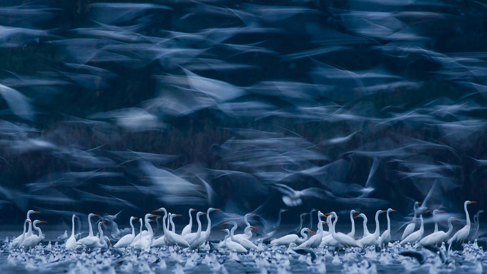 Siena International Photography Awards - Mateusz Piesiak nagrodzony po raz kolejny 1