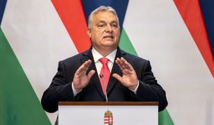 Napięcie między Węgrami a Ukrainą. Kilkadziesiąt kluczowych godzin [OPINIA]