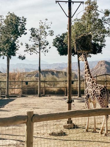 Over 200 species of animals await visitors.