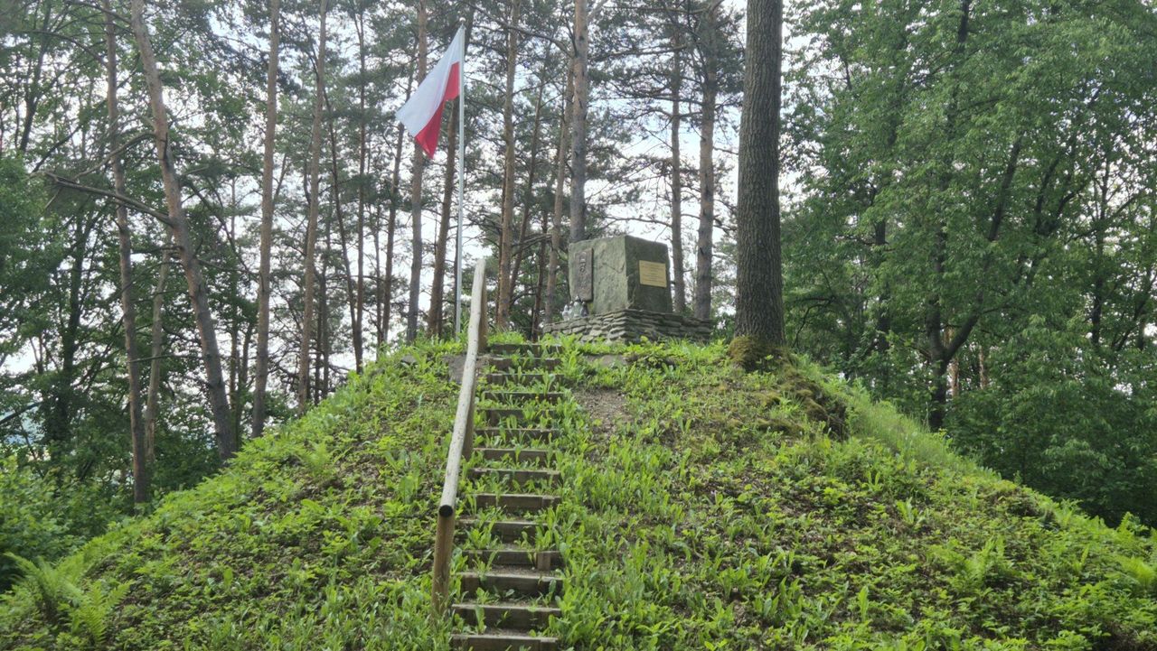 O tym Kopcu Piłsudskiego mogliście nie słyszeć. Kryje się w leśnych zakamarkach Beskidu Niskiego