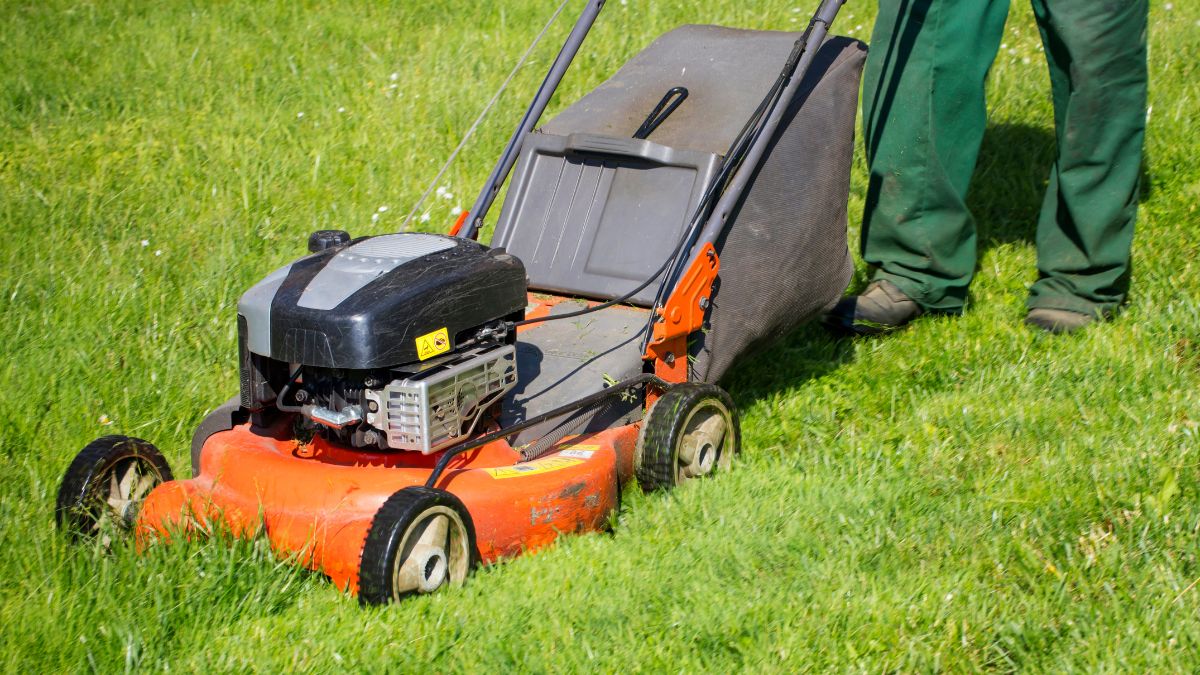 Kosisz trawę w maju? Musisz wiedzieć, że to błąd / zdjęcie poglądowe