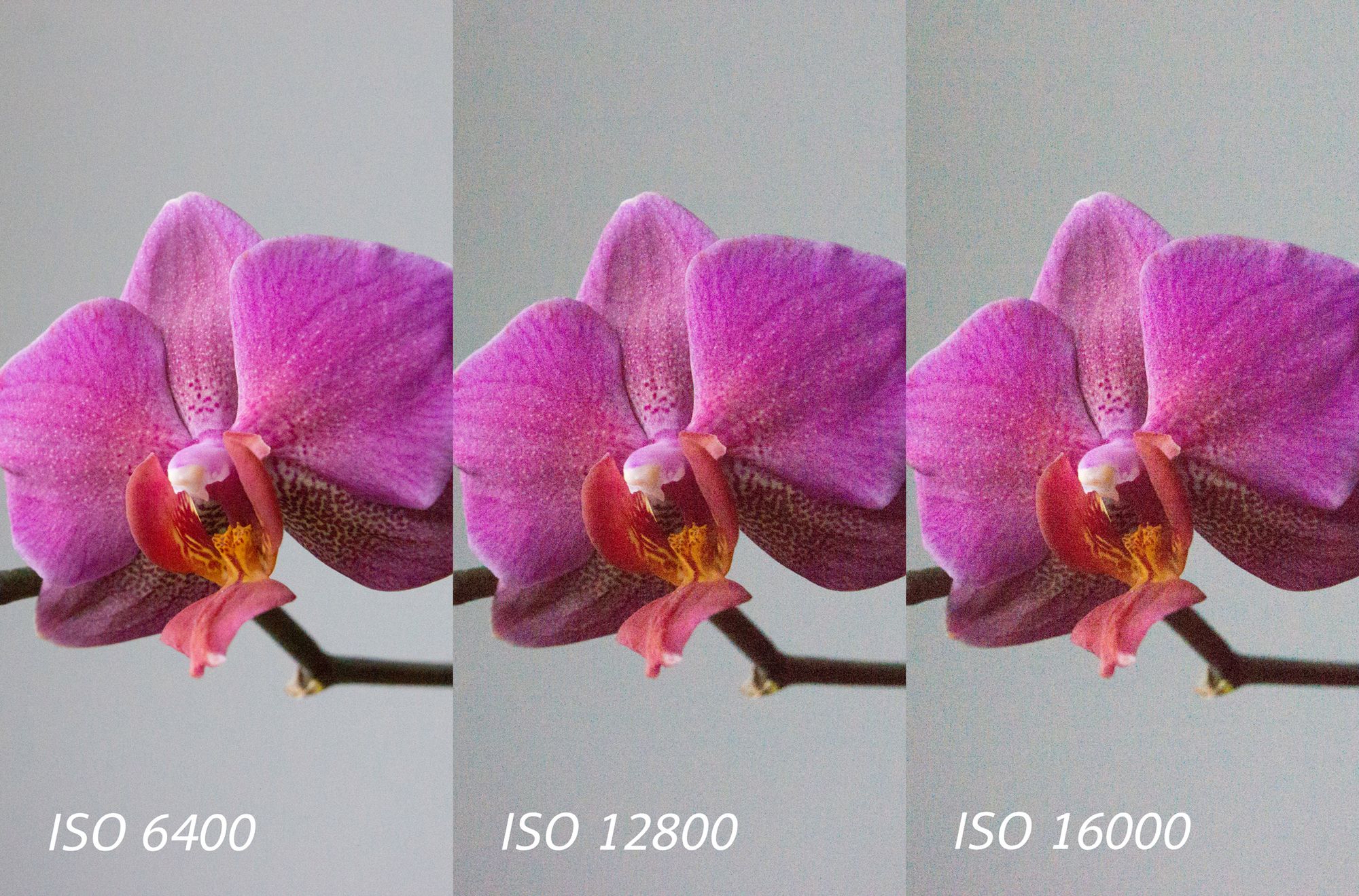 Sony SLT-A77 - szybciej, więcej, lepiej? [wideotest] 16