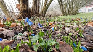 Łódź: Pogoda na pierwszy dzień wiosny, 21 marca 2026. Sprawdzamy prognozę - czy będzie naprawdę wiosennie?