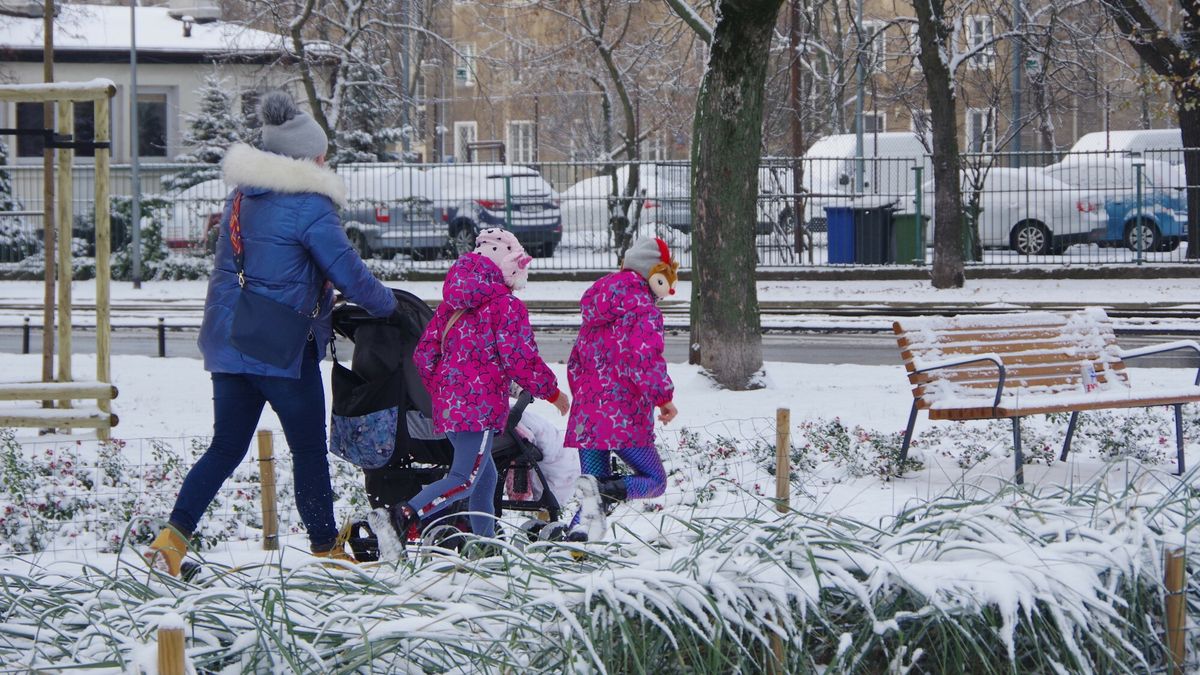 Program 500 plus nie poprawił dzietności
