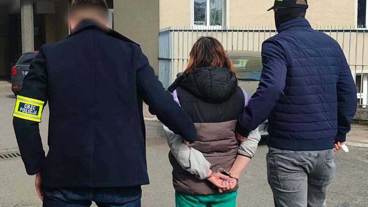 Rozbito grupę cyberprzestępczą