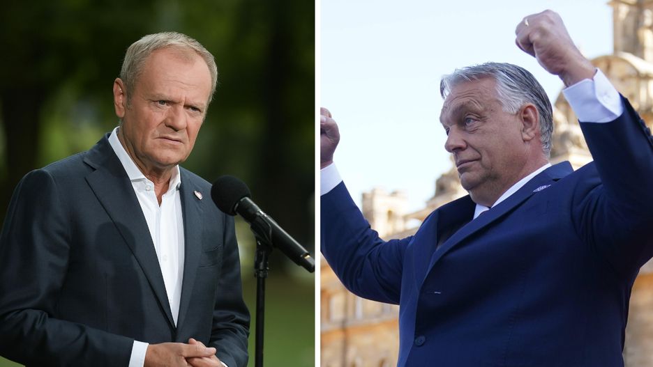 Donald Tusk / Viktor Orban