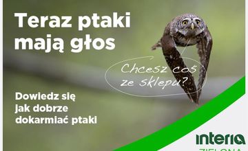 Interia z edukacyjną kampanią o ptakach