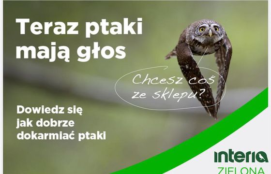 Interia z edukacyjną kampanią o ptakach