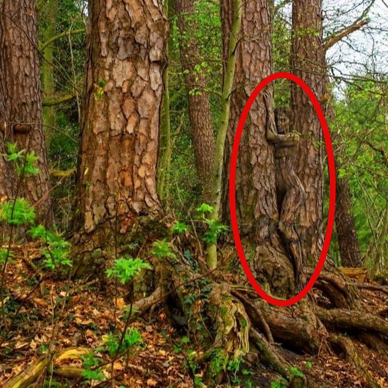 Tutaj ukryła się kobieta 