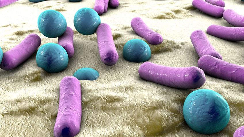 Flora bakteryjna pochwy to zespół mikroorganizmów, które zapewniają ochronę przed rozwojem infekcji intymnej.